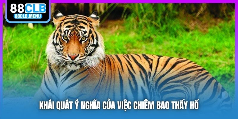 Khái quát ý nghĩa của việc chiêm bao thấy hổ